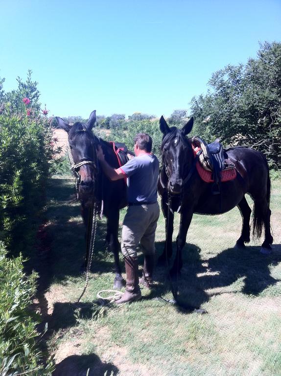 Agriturismo Prati Degli Orti Montiano  Dış mekan fotoğraf