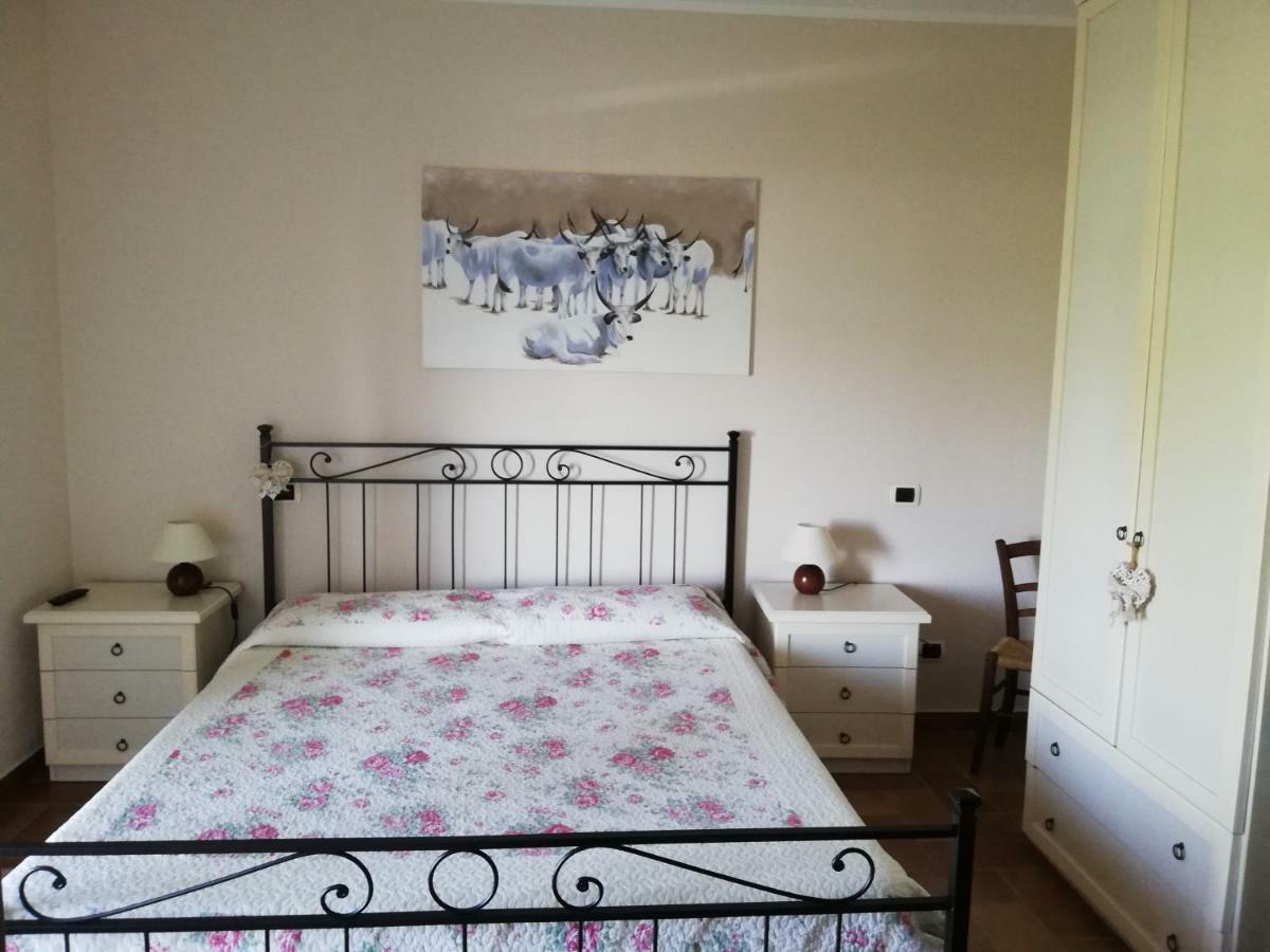 Agriturismo Prati Degli Orti Montiano  Dış mekan fotoğraf